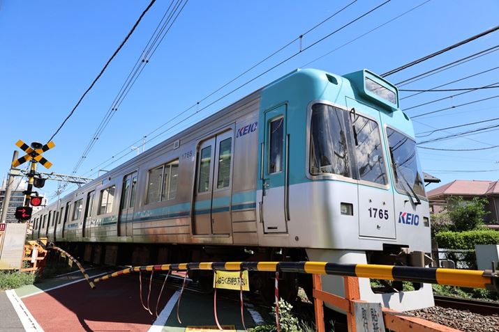 EOS R8ARF24-50mm F4.5-6.3 IS STMA24mmAXyVV[iX|[cjAF5A1/1250bAISO250