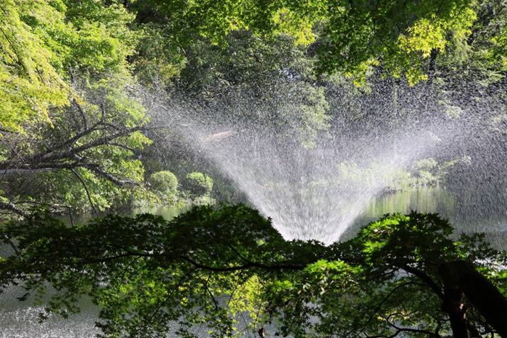 EOS R8ARF24-50mm F4.5-6.3 IS STMA50mmACeWFgI[gAF6.3A1/125bAISO125