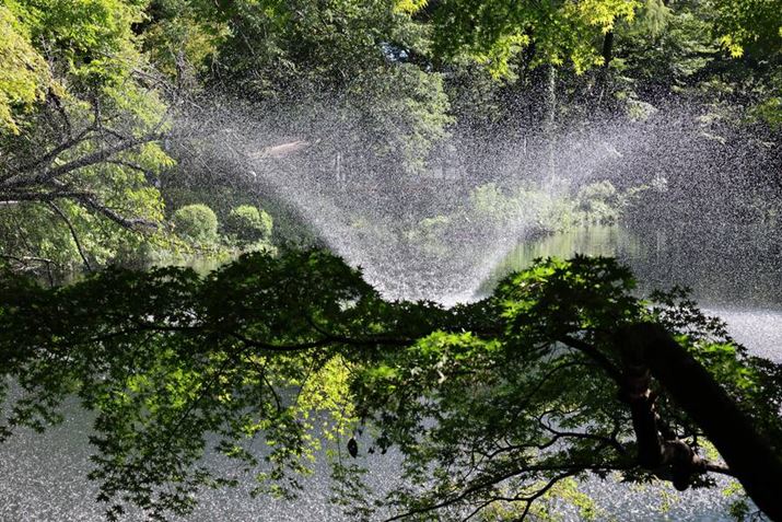 EOS R8ARF24-50mm F4.5-6.3 IS STMA50mmAXyVV[iX|[cjAF6.3A1/1250bAISO1250