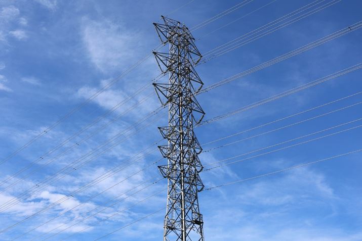 EOS R8ARF24-50mm F4.5-6.3 IS STMA50mmACeWFgI[gAF10A1/250bAISO100