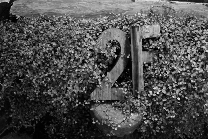 EOS R8ARF24-50mm F4.5-6.3 IS STMA50mmACeWFgI[gAF6.3A1/30bAISO25600AmNij