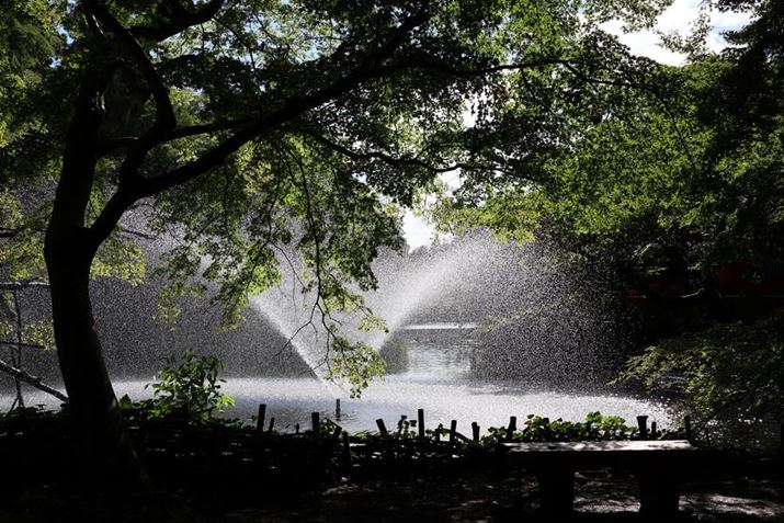 EOS R8ARF24-50mm F4.5-6.3 IS STMA43mmAXyVV[iX|[cjAF6.3A1/1250bAISO320