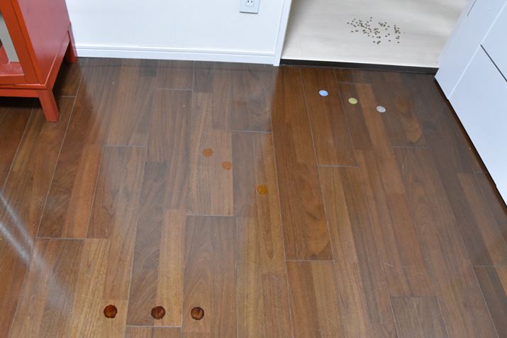 OR[q[AANi3FjAhCt[hB́A[ɃXpCXg^RQhŌ؂܂