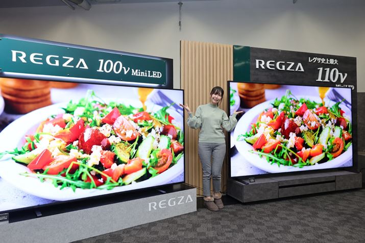 100V^teru100Z770Nvij110V^́u110Z990RviEj