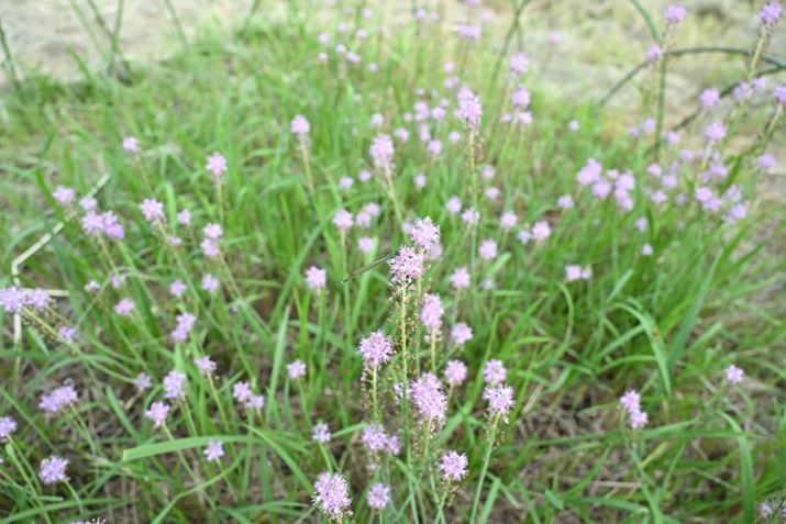 Z6IIIAZ 24-120mm f/4 SA24mmAF5.6A1/320bAISO400AzCgoXFI[gAsN`[Rg[FX^_[hBeʐ^i6048×4032A10.4MBj