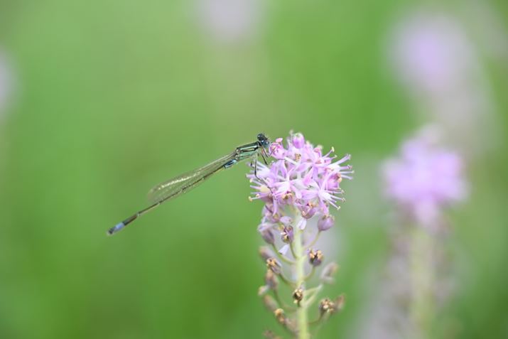 Z6IIIAZ 24-120mm f/4 SA120mmAF5.6A1/500bAISO400AzCgoXFI[gAsN`[Rg[FX^_[hBeʐ^i6048×4032A8.3MBj