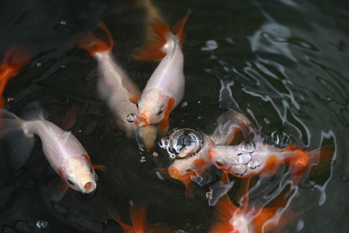 Z6IIIAZ 24-120mm f/4 SA68mmAF5.6A1/250bAISO400AzCgoXFI[gAsN`[Rg[FX^_[hBeʐ^i6048×4032A9.6MBj