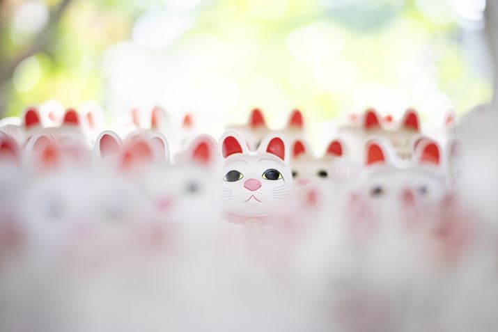 Ƃ낯悤Ȃڂɕ܂ꂽEɖĂ܂EOS R6 Mark IIANOKTON 75mm F1.5 AsphericalAF1.6A1/160bAISO100A+2.3EVAsN`[X^CFX^_[hAzCgoXFI[gARAW