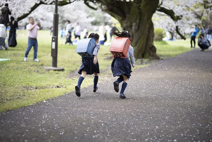 Ղ1EOS R6 Mark IIANOKTON 75mm F1.5 AsphericalAF1.6A1/800bAISO100A+1.3EVAsN`[X^CFX^_[hAzCgoXFI[gARAW