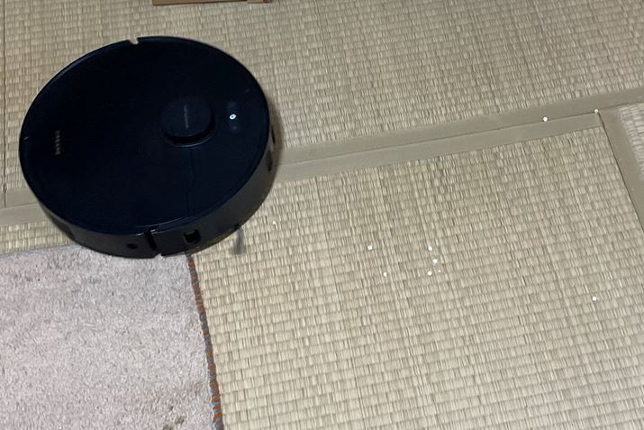 ̏̔AL܂U炵gCBȑ傫ȃS~mɑ|Ă܂