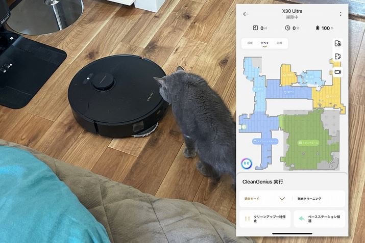 pAv̑͒IƂ͌ɂǁAu܂Αvv炢̊