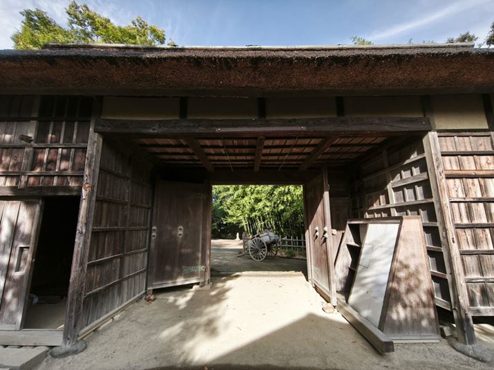 LpJɂ0.6{i35mmZŏœ_15mmj