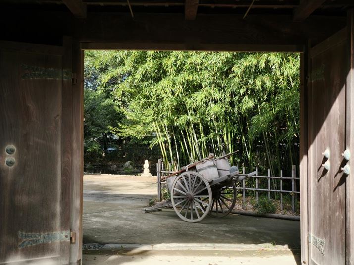 CJɂ2{i35mmZŏœ_50mmj