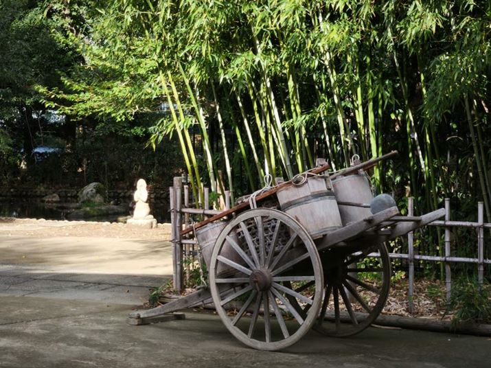 ]Jɂ4{i35mmZŏœ_100mmj