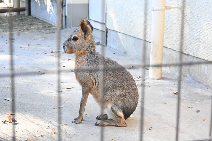 I[g[hŎBeBʑ̌oȂ̌̃}[̓Ƀsg荇킹ĂꂽZ50IIANIKKOR Z DX 16-50mm f/3.5-6.3 VRA50mmAF6.3A1/250bAISO1800A+1.0EVAzCgoXFI[g1AsN`[Rg[FI[gBeʐ^i5568×3712A9.1MBj