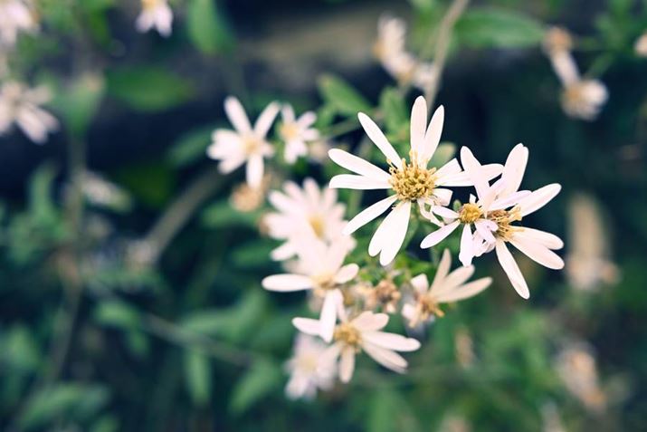 Z50IIANIKKOR Z DX 24mm f/1.7A24mmAF4A1/125bAISO640AzCgoXFI[g1AsN`[Rg[FgCBeʐ^i5568×3712A7.2MBj