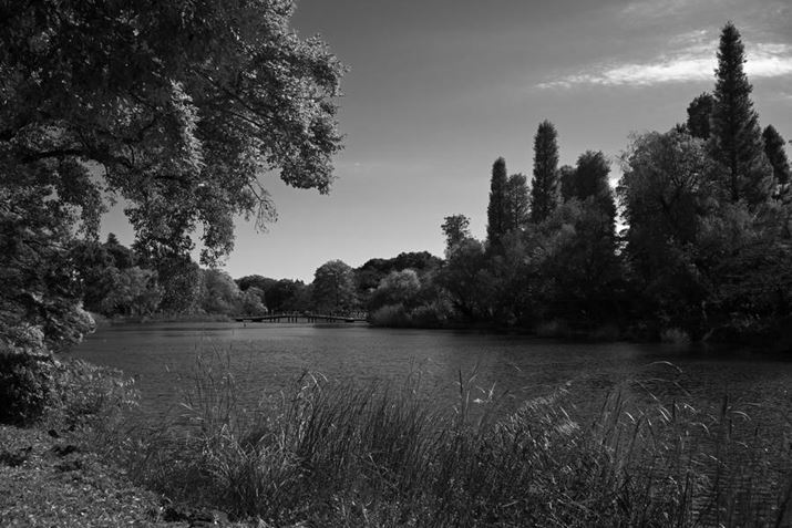 Z50IIANIKKOR Z DX 24mm f/1.7A24mmAF7.1A1/400bAISO100AzCgoXFI[g1AsN`[Rg[FfB[vg[mN[Beʐ^i5568×3712A11.3MBj