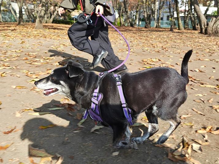 CJŁuANVVbgvONɂBĂ錢̓uɎBeł