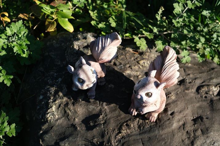 X-M5AXF27mmF2.8 R WR A27mmi35mmZ41mmjAF2.8A1/640bAISO160AzCgoXFI[gAtBV~[VFPROVIA/X^_[hBeʐ^i6240×4160A13.0MBj