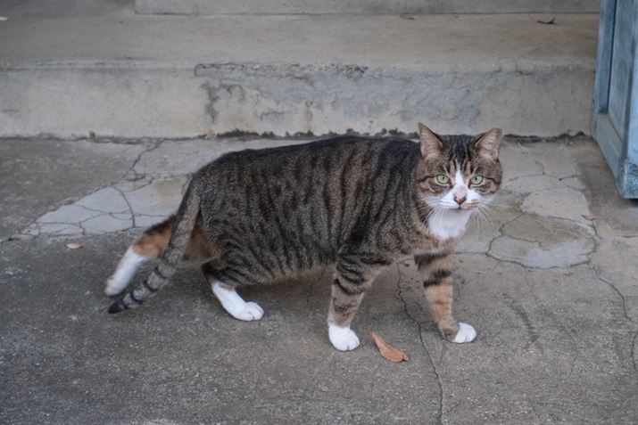 X-M5AXC15-45mmF3.5-5.6 OIS PZA45mmi35mmZ68mmjAF5.6A1/140bAISO2500AzCgoXF8000KAtBV~[VFmX^WbNlKBeʐ^i6240×4160A12.8MBj