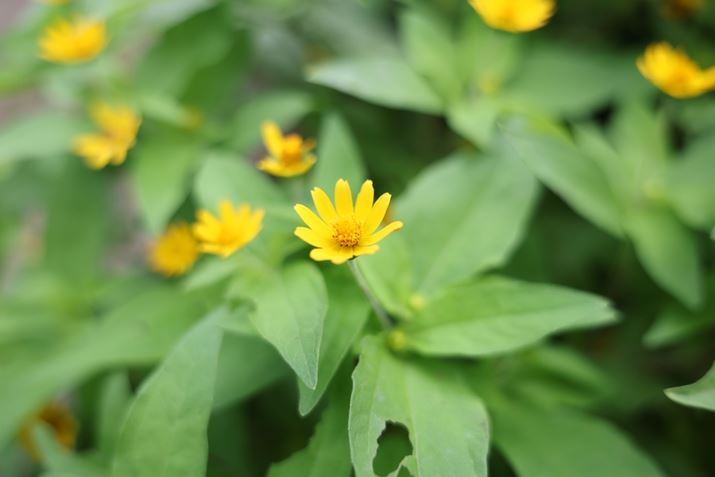 EOS R5 Mark IIARF28-70mm F2.8 IS STMA28mmAF2.8A1/320bAISO100A+0.3EVAzCgoXFI[gAsN`[X^CFX^_[hAtH[JX[hFMFBeʐ^i8192×5464A13.0MBj