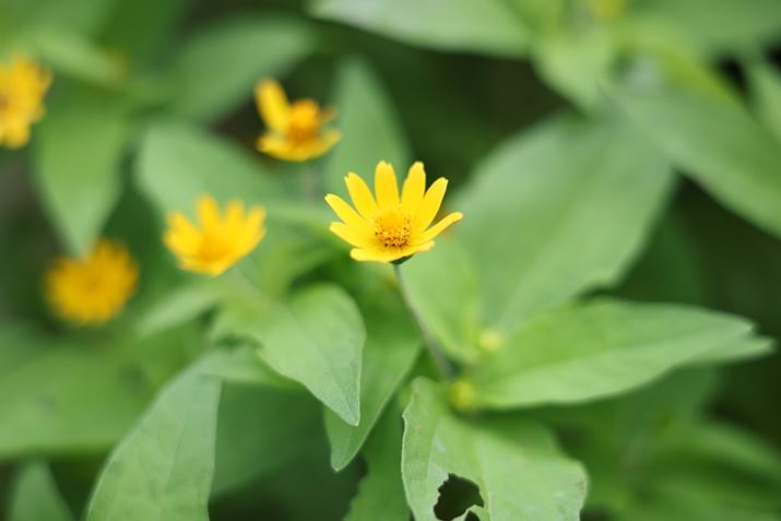 EOS R5 Mark IIARF28-70mm F2.8 IS STMA70mmAF2.8A1/320bAISO100A+0.3EVAzCgoXFI[gAsN`[X^CFX^_[hAtH[JX[hFMFBeʐ^i8192×5464A13.2MBj