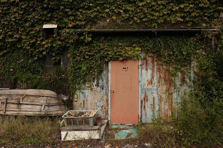 EOS R5 Mark IIARF28-70mm F2.8 IS STMA70mmAF5.6A1/100bAISO100A-1.0EVAzCgoXFAAsN`[X^CFX^_[hBeʐ^i8192×5464A31.4MBj