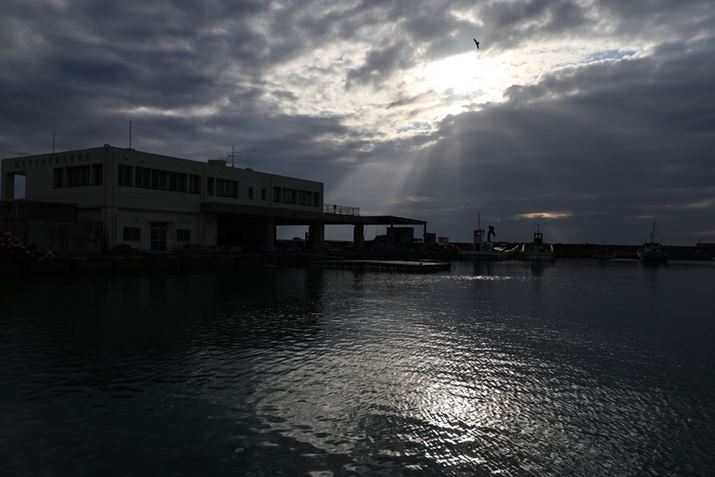 EOS R5 Mark IIARF28-70mm F2.8 IS STMA70mmAF5.6A1/2500bAISO100A-2.3EVAzCgoXFI[gAsN`[X^CFX^_[hBeʐ^i8192×5464A14.9MBj