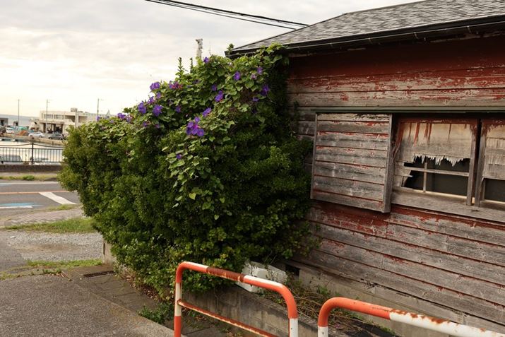 EOS R5 Mark IIARF28-70mm F2.8 IS STMA70mmAF5.6A1/320bAISO100A-1.0EVAzCgoXFAAsN`[X^CFX^_[hBeʐ^i8192×5464A25.2MBj