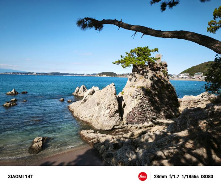 LpJ́A𑜊ǍDŉ掿ł͍łL