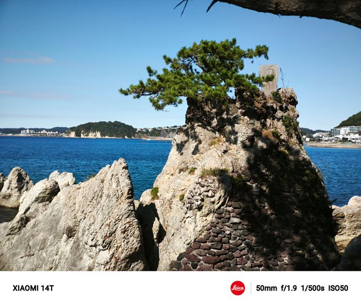 Y[{ɒǂȂ߁A掿͎vȏɗǍD