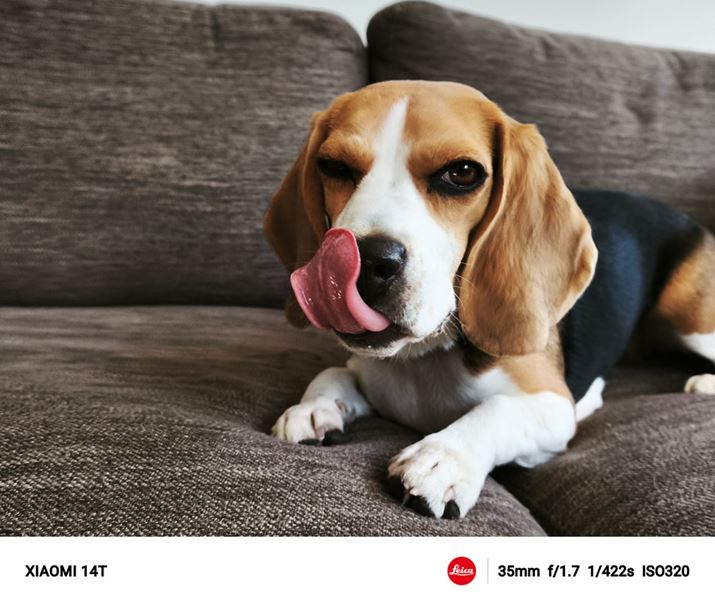 |[g[g[hňBeBwi̓i`Ƀ{P