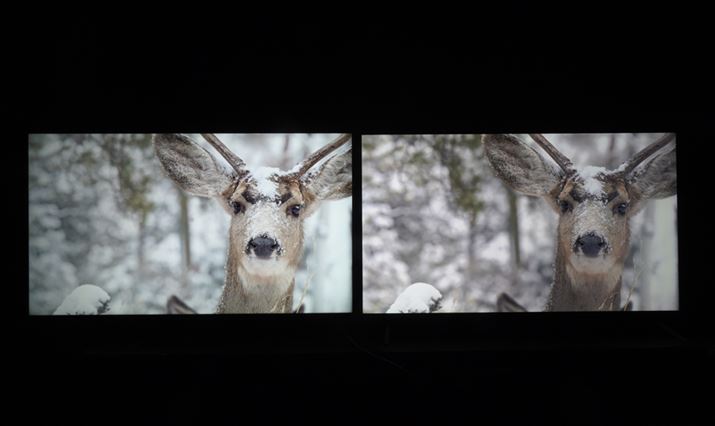 TCLu55QM8BvAEXiaomiuTV S Mini LED 55 2025vBHDR10̉fłTCL̂ق邭Ȃ