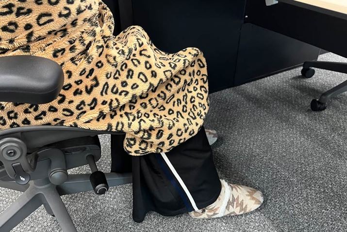 M҂͂̃uPbgƋNт̃[u[cŊ΍Ă܂Ał₦Ďd܂łBu|J plq[^[vgĂ̓T_ŉ߂܂A񂪉܂邩炩̂܂ŉĎd͂ǂĂ܂i΁j