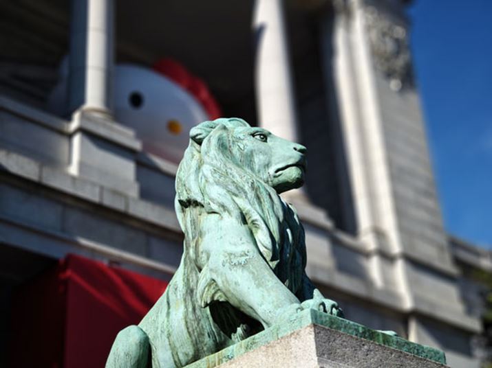 CIɃsg킹ĔwiڂB|[g[g[hgȂĂrI傫Ȕwiڂ