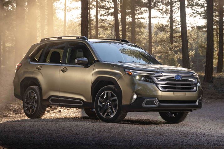 XoutHX^[vi摜͖kăfj