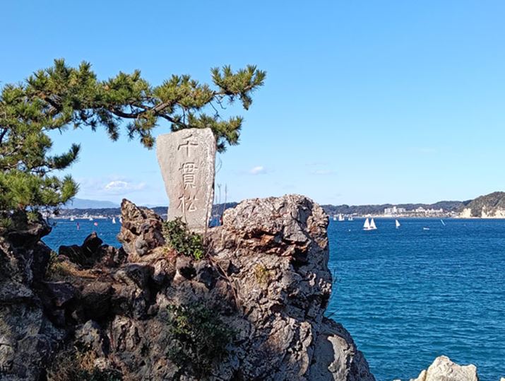 2{Y[ŎBeB掿򉻂͂قƂǋCɂȂȂ