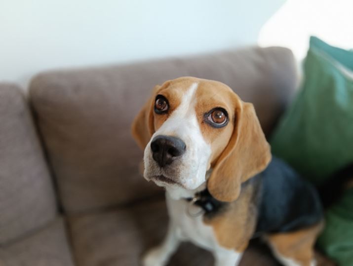 u|[g[g[hvňBeBwĩ{P͋