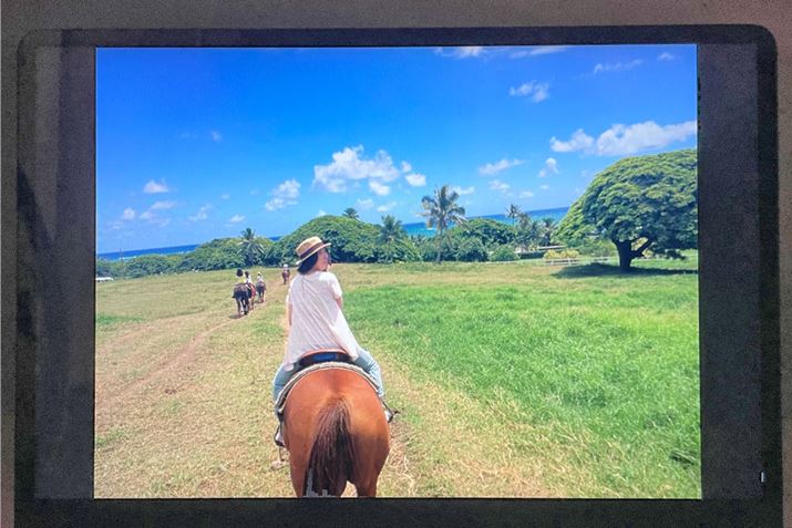 ʐ^\Ă݂ƁAו̃fBe[Ԃ邱ƂȂ\łĂ܂Bt̂߂h߂łAɐFȂƂȂAČx͍ƌ܂