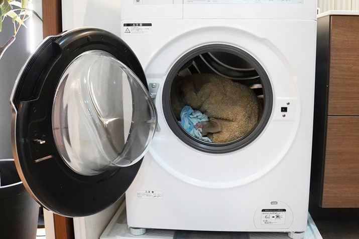 1󂵂̃hApbL̐mFƂA@\̂AȂȂꂢł