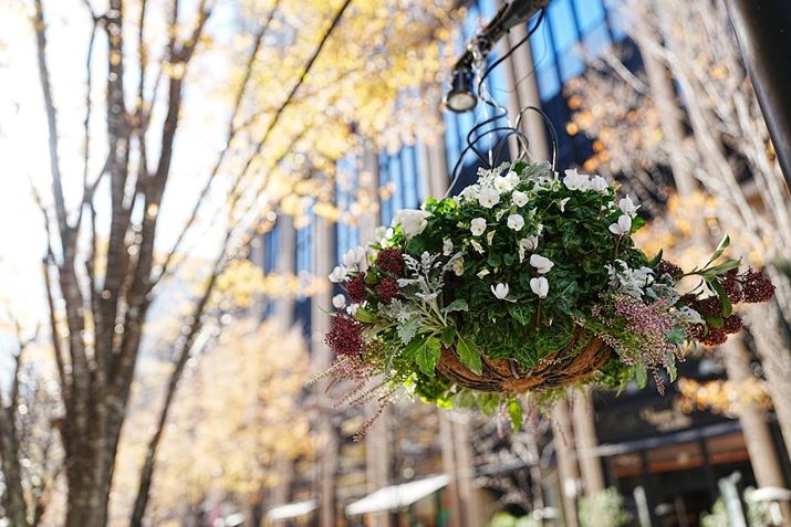 Lp[28mmŎBeBԂ̎`BLp̓_Ci~bNȃ{PƂƂɊĴ`ʂy߂郿7R VAFE 28-70mm F2 GMA28mmAF2A1/500bAISO100A+0.7EVAWBFI[gANGCeBubNFVV2AcȎFI[gBeʐ^i9504×6336A37.2MBj