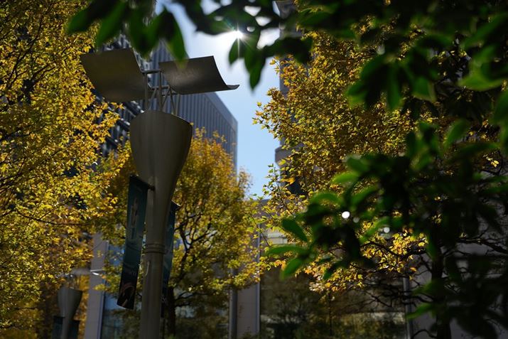 ߂̋tV[BtAS[XgǍDɗ}ĂĂBYt[ȟʂ傫Ƃ낾7R VAFE 28-70mm F2 GMA44mmAF2A1/4000bAISO100A-0.7EVAWBFzANGCeBubNFSTAcȎFItBeʐ^i9504×6336A41.5MBj