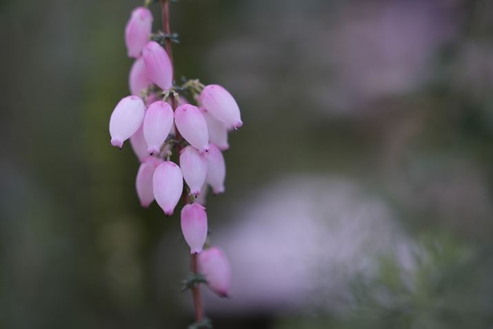 Ɗƃsg̍֊sɂ▰̂́Ae͈͂ł͂Ȃ낤7R VAFE 28-70mm F2 GMA70mmAF2A1/6400bAISO100A-0.3EVAWBFI[gANGCeBubNFVV2AcȎFI[gBeʐ^i9504×6336A32.4MBj