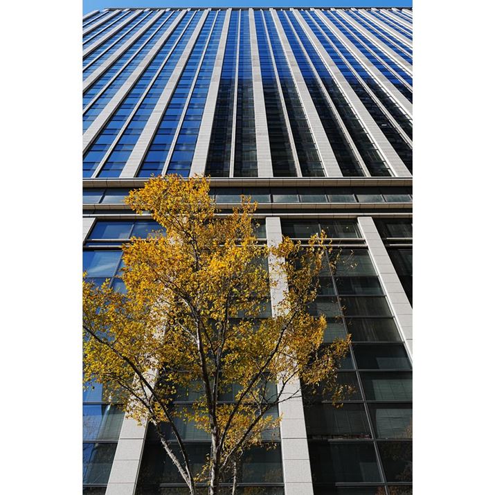 F8܂ōiĂ݂Bʎӂ܂Ŕɍ𑜊ł΂炵B̂̈芴͂ƂƂ냿7R VAFE 28-70mm F2 GMA28mmAF8A1/200bAISO100A-0.7EVAWBFzANGCeBubNFVV2AcȎFI[gBeʐ^i6336×9504A58.5MBj