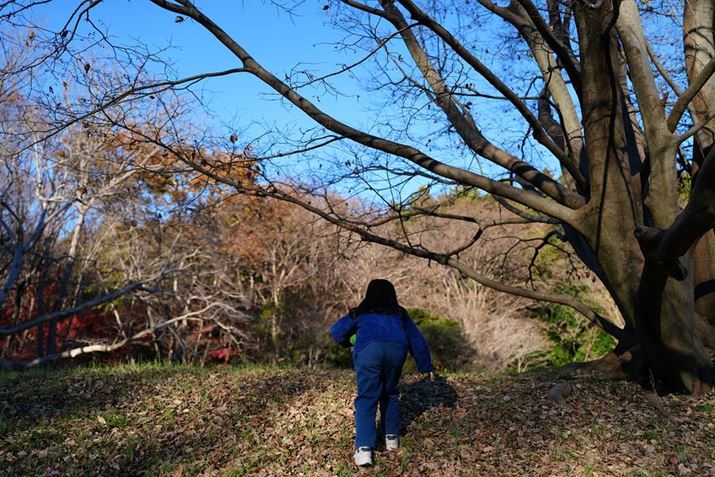 7R VAFE 28-70mm F2 GMA28mmAF2A1/640bAISO100AWBFI[gANGCeBubNFVVAcȎFIt