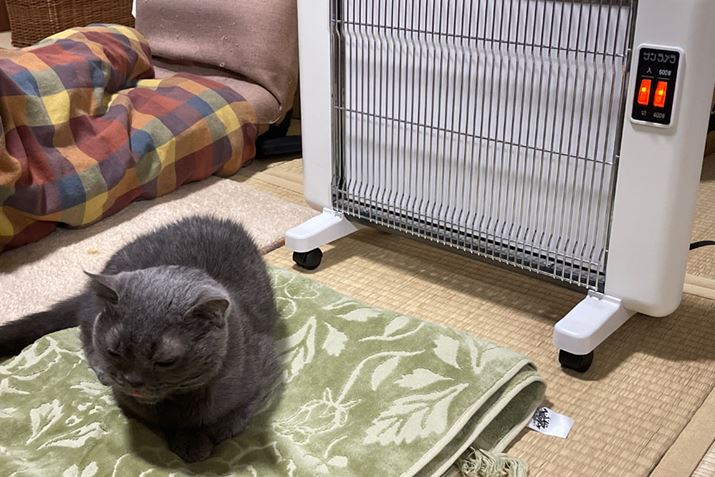 Ă񂩂񎝂̘VL̂߁AdCエ߂̃Z~bNq[^[_ςŃPABdȂƂ͂AWebj[mFƂ́uqbvƍo܂