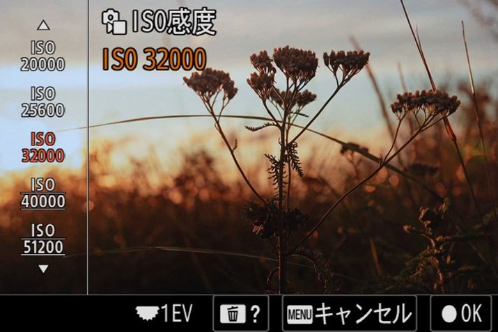 u1 IIv̏pōx͏]fƓISO32000