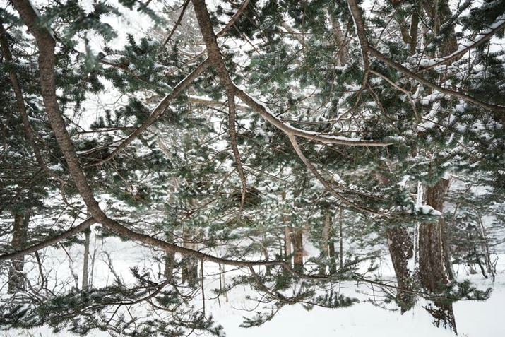 7C IIAFE 24mm F2.8 GA24mmAF2.8A1/500bA+0.7EVAISO200AzCgoXFI[gANGCeBubNFFL