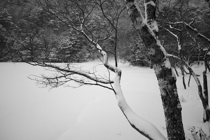 7C IIAFE 24mm F2.8 GA24mmAF2.8A1/1250bA+0.7EVAISO100AzCgoXFI[gANGCeBubNFBW