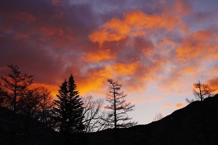 ɓĂ璷炭Ⴊ~葱Ă܂A[ɂȂĐĂ܂BĂ󂪎Beł܂7C IIAFE 28-60mm F4-5.6A57mmAF5.6A1/250bA-0.3EVAISO100AzCgoXFܓVANGCeBubNFVV2